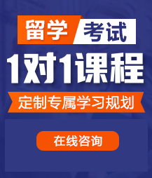 黄色操逼大鸡巴视频留学考试一对一精品课